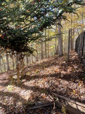 المنطقة المحيطة بالمنشأة