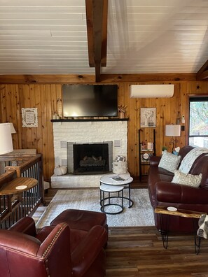 Smart TV, fireplace, books