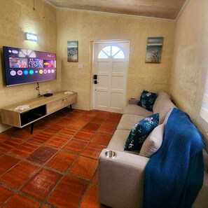 Smart TV, DVD player, books