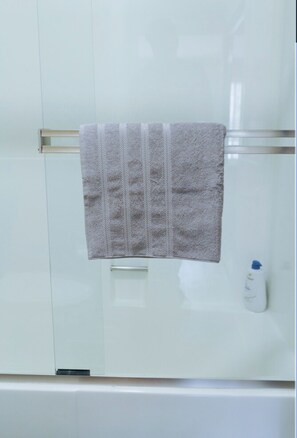 Séchoir à cheveux, serviettes fournies, savon, papier de toilette