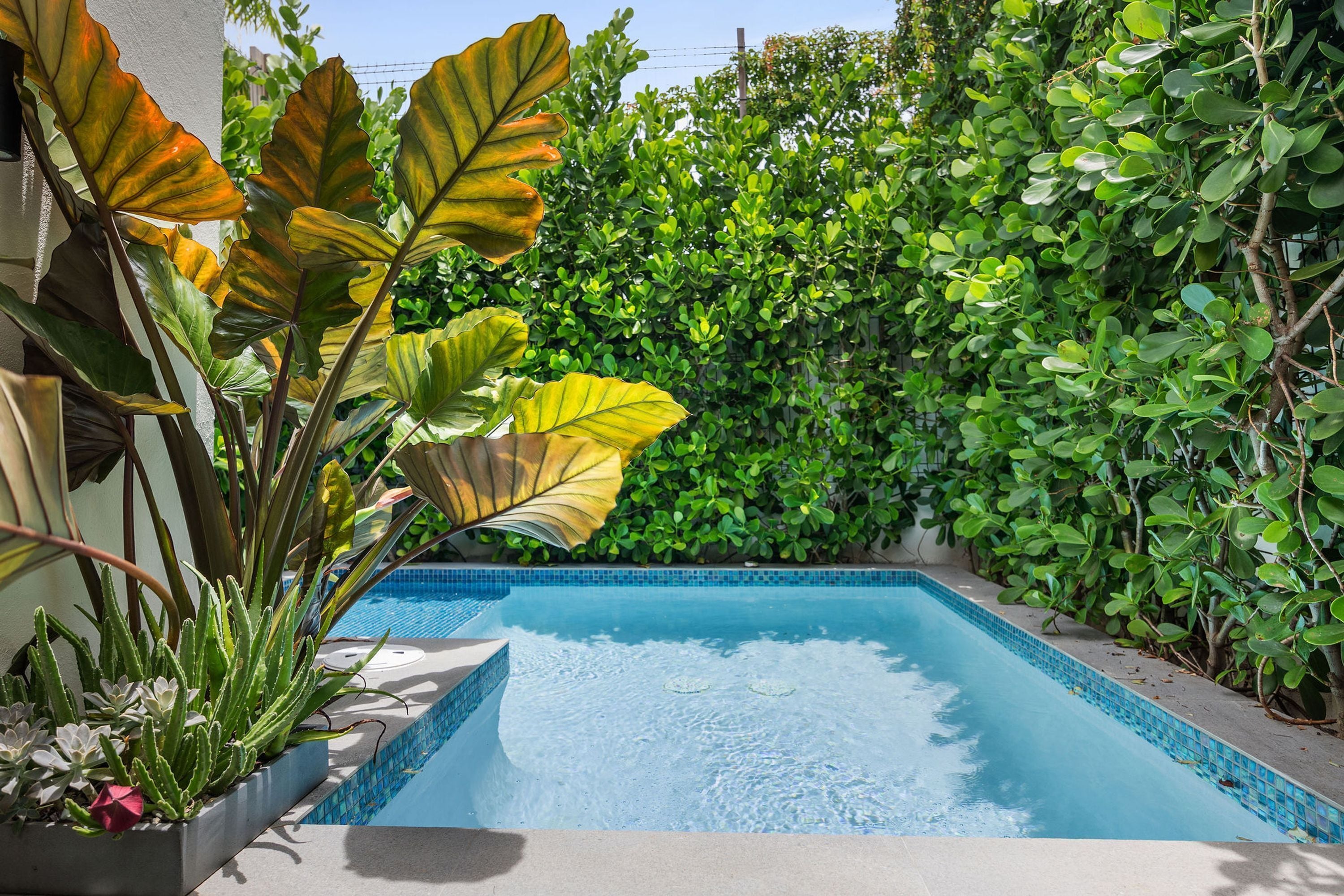 1 habitación y acceso a internet 