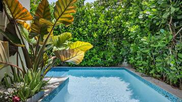 Villa | 1 bedroom, Internet