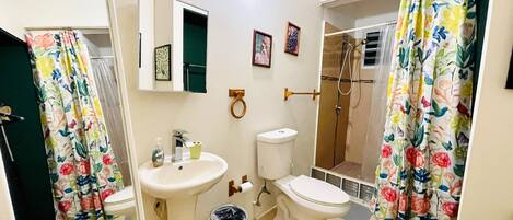 A bathroom with a sink, toilet, shower, and a mirror.