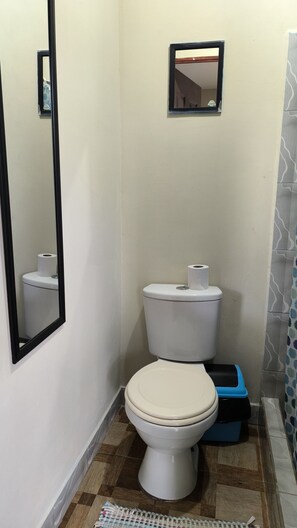 Shower, towels, soap, toilet paper