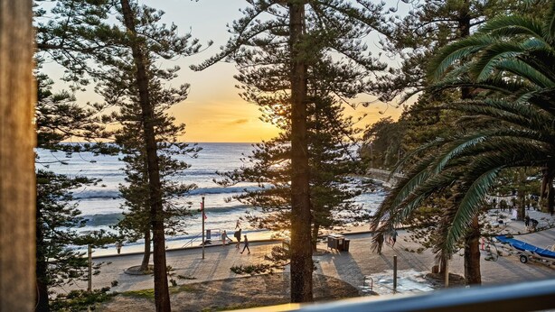 A beach view with tall pine trees and a sunset. - The Manly Wave Beachfront Ocean Views (Manly)