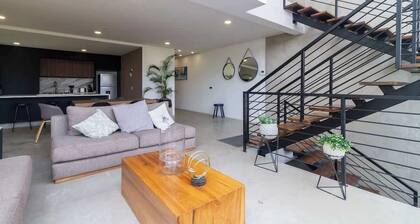 Casa Zara Summary:<br>La