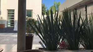 Un bâtiment moderne doté d’une grande fenêtre et d’une plante en pot au premier plan.