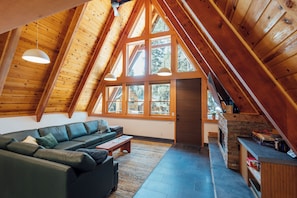 Smart TV, fireplace, books