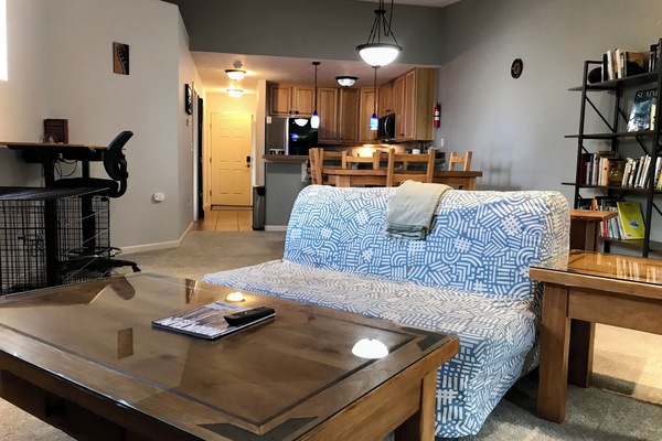 Smart TV, chimenea, libros