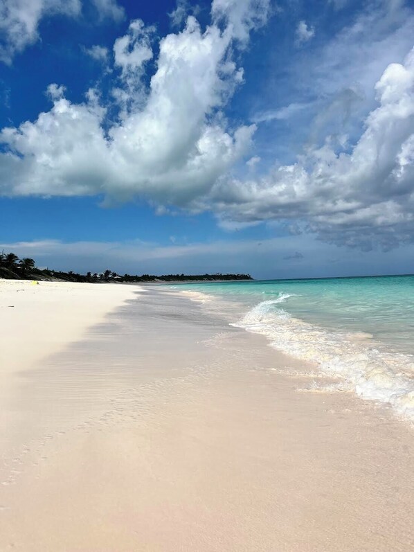 Camastros y toallas de playa 