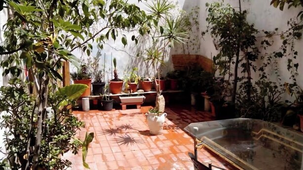 A sunlit courtyard with potted plants and a tiled floor.
