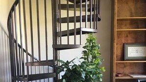 A spiral staircase with metal railings and a potted plant at the bottom.