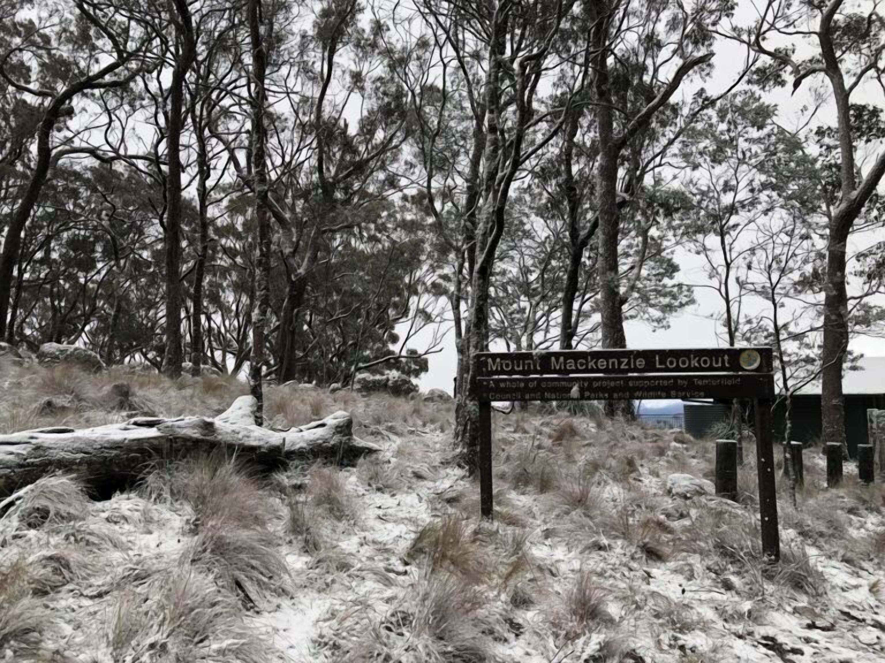 A signpost in a forested area with a label 'Mount Mackenzie Lookout.'
