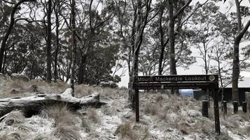 A signpost in a forested area with a label 'Mount Mackenzie Lookout.'