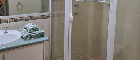 Hair dryer, soap, toilet paper