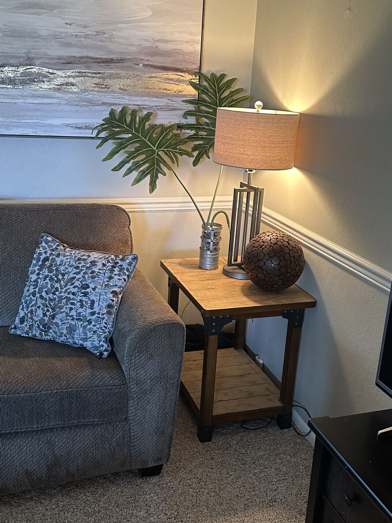 Smart TV, chimenea, reproductor de DVD y libros 