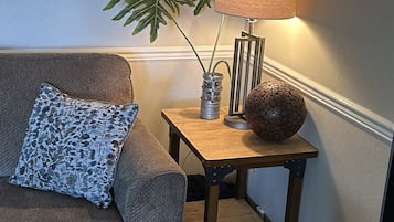 Smart TV, fireplace, DVD player, books