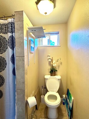 Ducha, toallas y papel higiénico