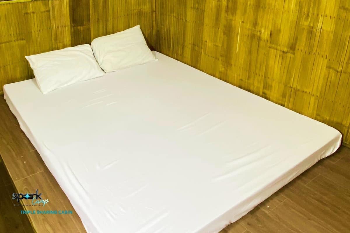 Basic Triple Room, Balcony, Pool View