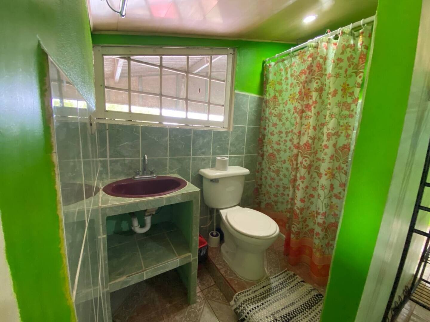 Shower, towels, soap, toilet paper