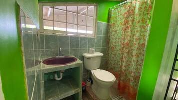 Shower, towels, soap, toilet paper