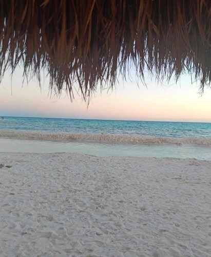 Lodging Maya Turquesa a few steps from the Mayan train in Playa del Carmen