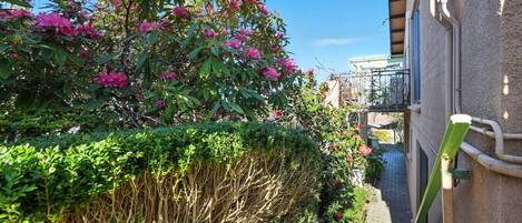 Overnatningsstedets område