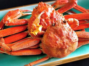 餐饮