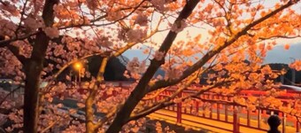 Izu Shirahama Beach 1 minute walk from convenienc / Shimoda Shizuoka