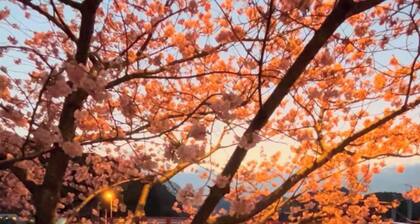 Izu Shirahama Beach 1 minute walk from convenienc / Shimoda Shizuoka