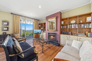 Televisor, llar de foc, reproductor de DVD i llibres 