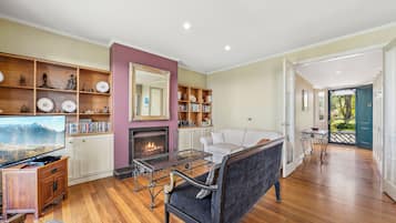 TV, fireplace, DVD player, books