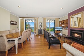 Televisor, llar de foc, reproductor de DVD i llibres 