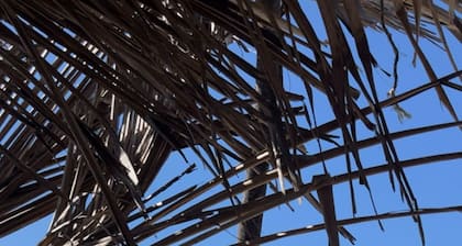 Perfect getaway at Rancho Las Palmas ïïžï»