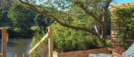 Jardines del alojamiento