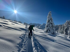 Snow and ski sports - Centrally located characteristic and modern (Bramberg am Wildkogel)