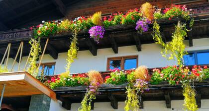 Centrally located characteristic and modern