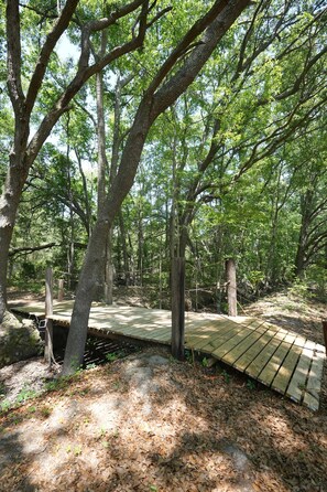 A wooden deck in a forested area with trees and a natural setting.