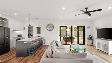 TV, fireplace, books