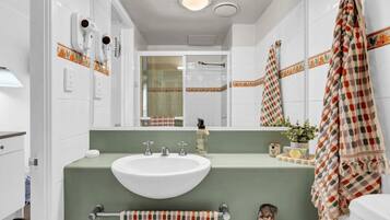 Hair dryer, towels, soap, shampoo