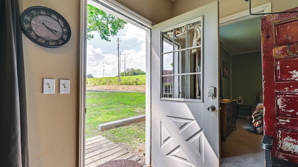 A door with a geometric pattern, a clock, and a view of a grassy area outside.