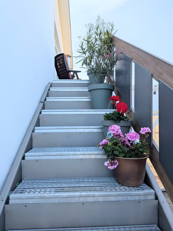 Eine Treppe mit Stufen, ein Stuhl und Topfpflanzen.