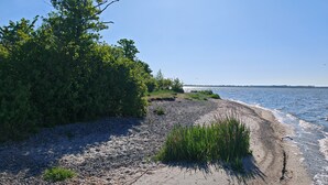 Ein Strand mit Kiesweg, dichter Vegetation und ruhiger See unter blauem Himmel.