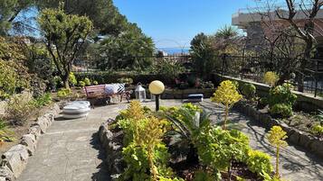 A garden with stone pathways, a bench, and various plants.