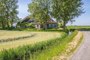 A rural house with a thatched roof, surrounded by lush greenery and a narrow road.