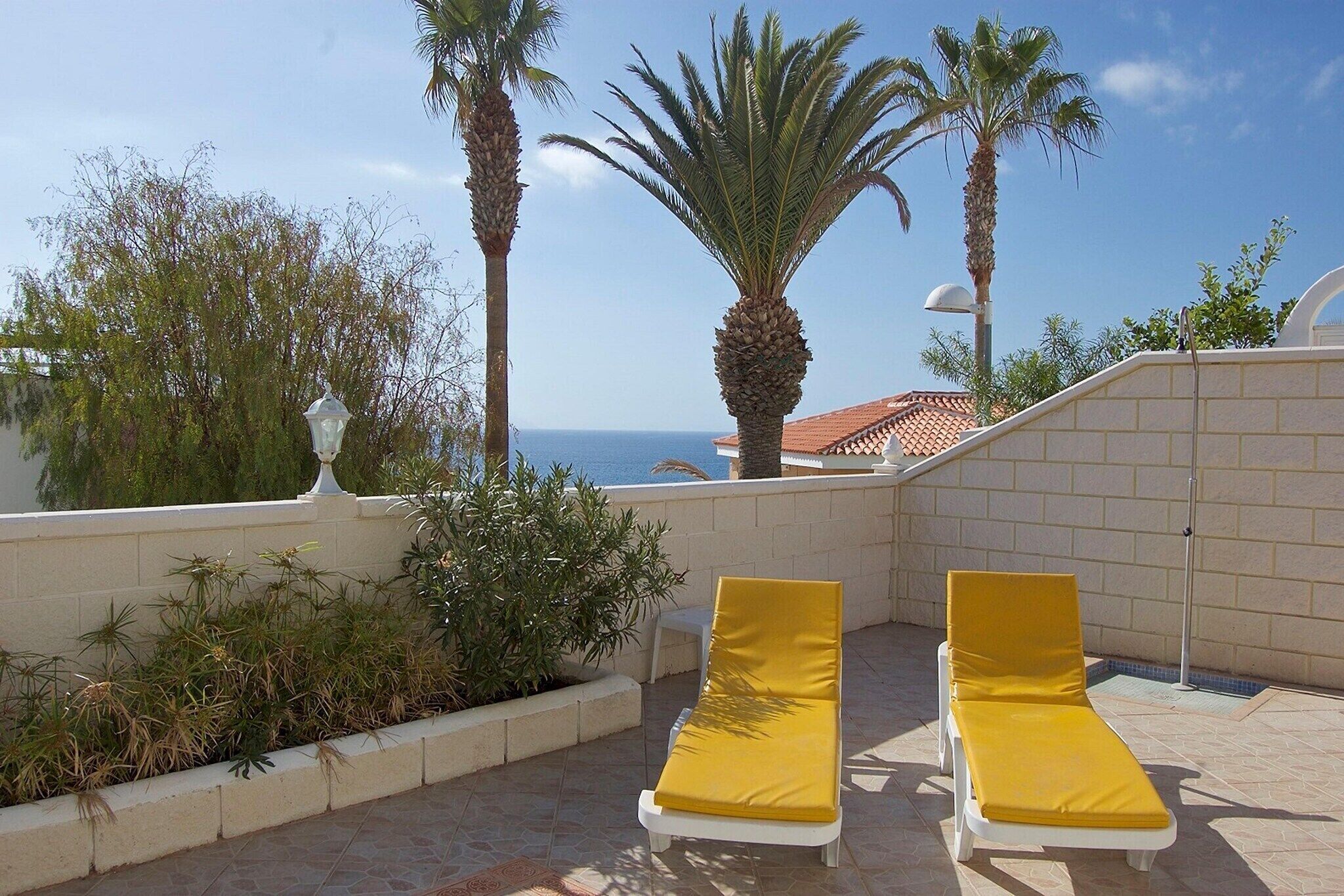 A rooftop terrace with two yellow sun loungers, a palm tree, and a view of the sea.
