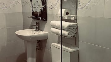 Shower, towels, soap, toilet paper