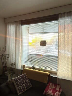 Apartment, 1 Bedroom, Accessible, Balcony | Living area - Unique Apartment in Kemi With Sauna Department & Free Parking (Kemi)