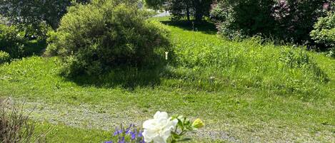 公寓, 1 間臥室, 無障礙, 陽台 | 外觀