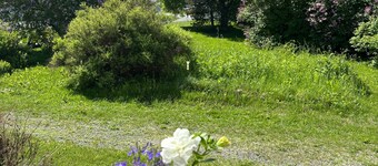 Unique Apartment in Kemi With Sauna Department & Free Parking